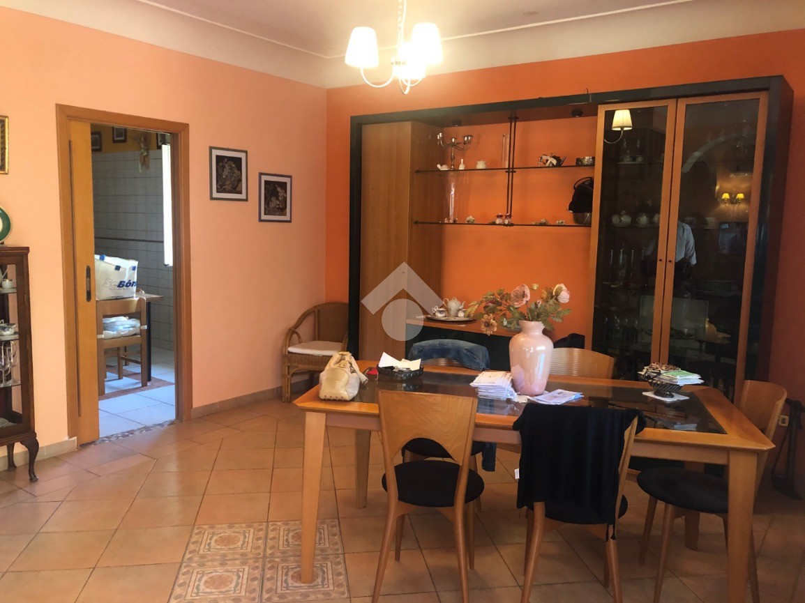Tecnocasa cassino